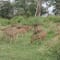 Ooty Tour Package from Bangalore review