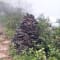 Kumara Parvatha Trek Package from Bangalore review