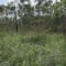 Munnar Tour Package From Bangalore review