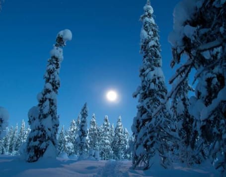 Urho Kekkonen National Park