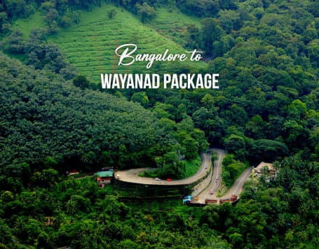 Bangalore to Wayanad Package