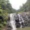 Bangalore to Coorg Tour Package review