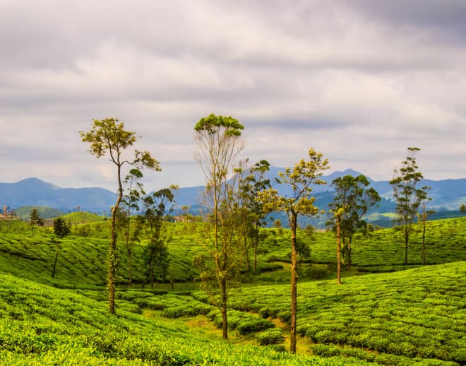 Valparai Tour Package From Bangalore Image